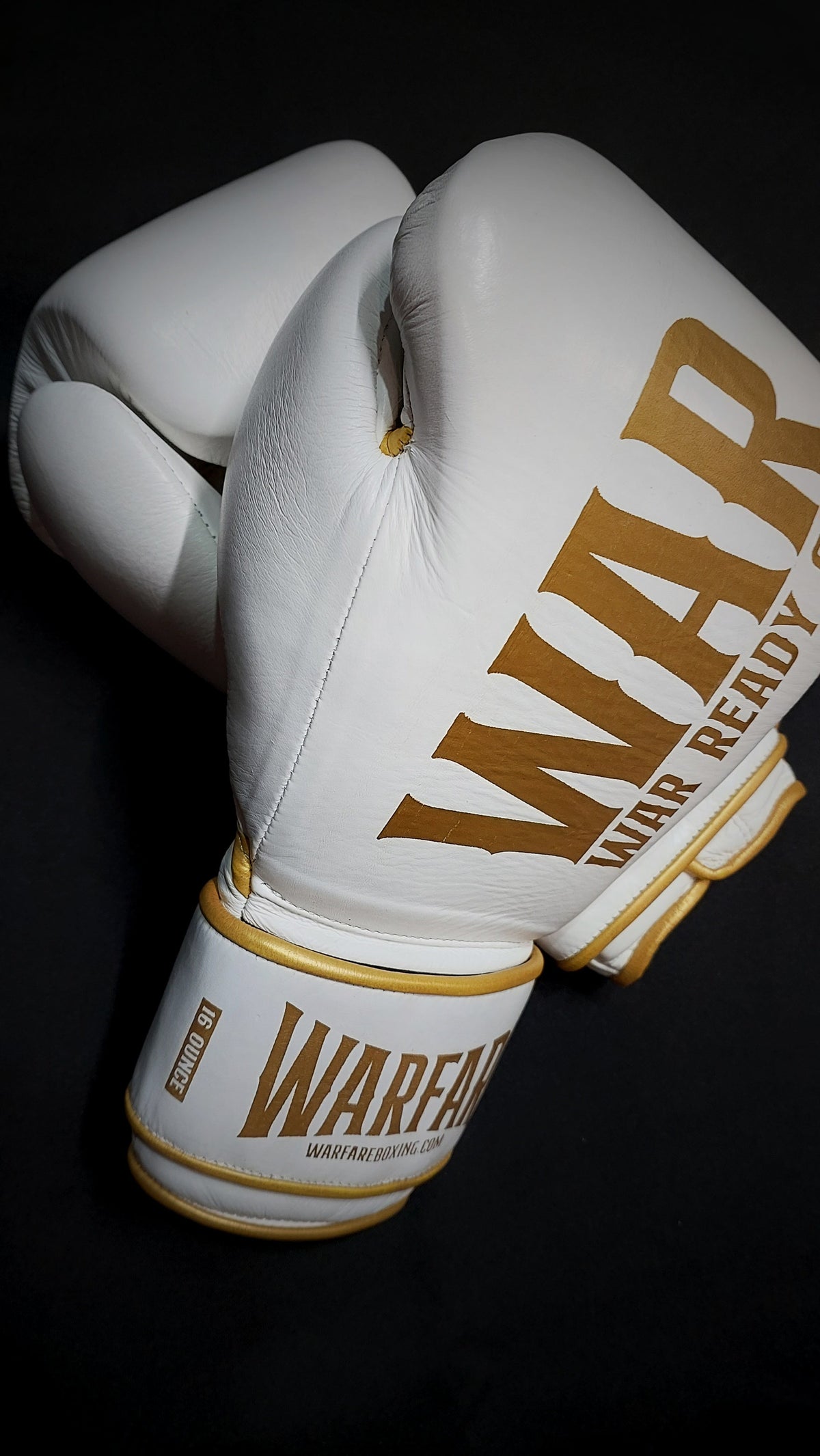 Warfare Boxing Glove