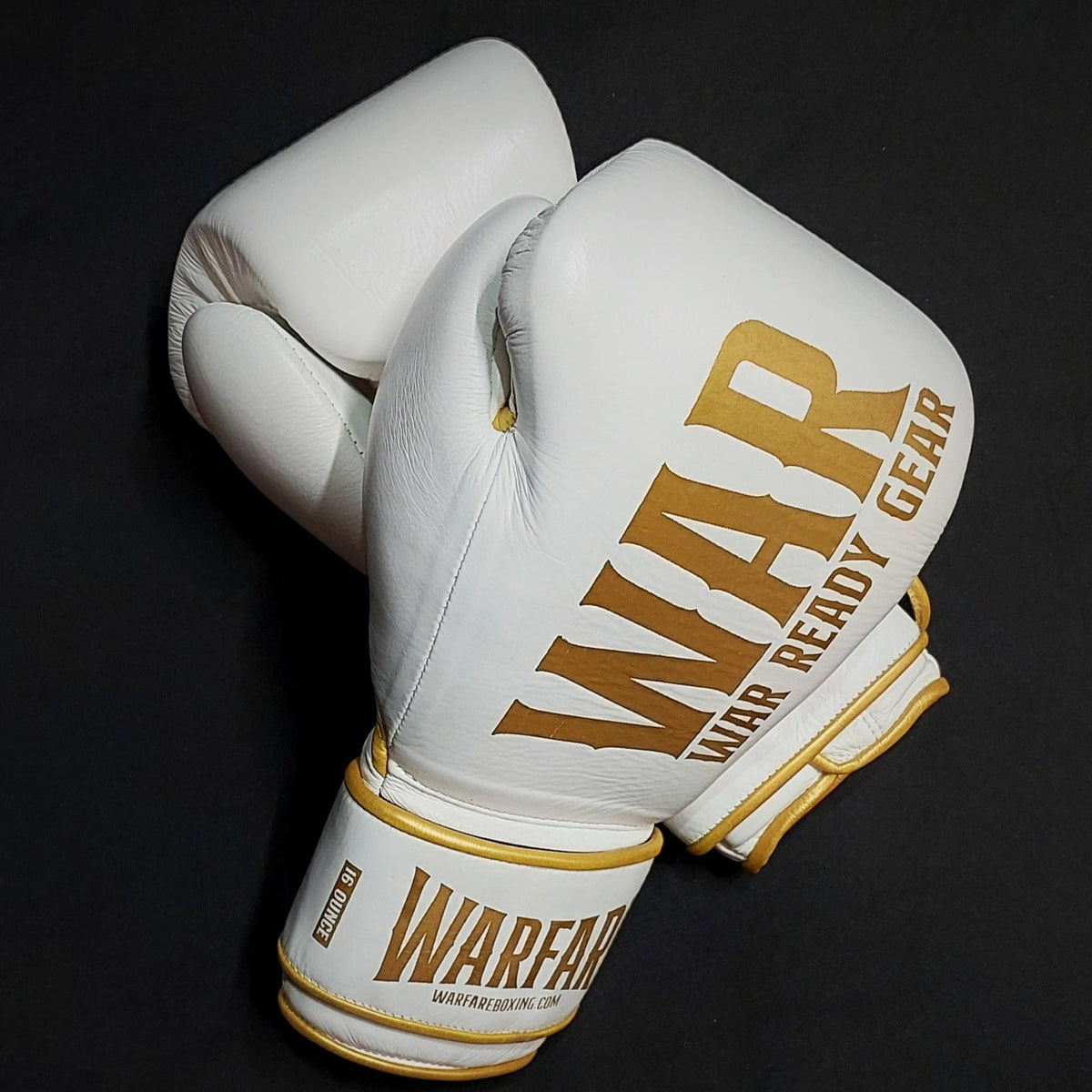 Warfare Boxing Glove