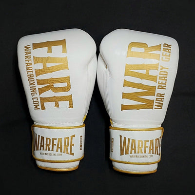 Warfare Boxing Glove