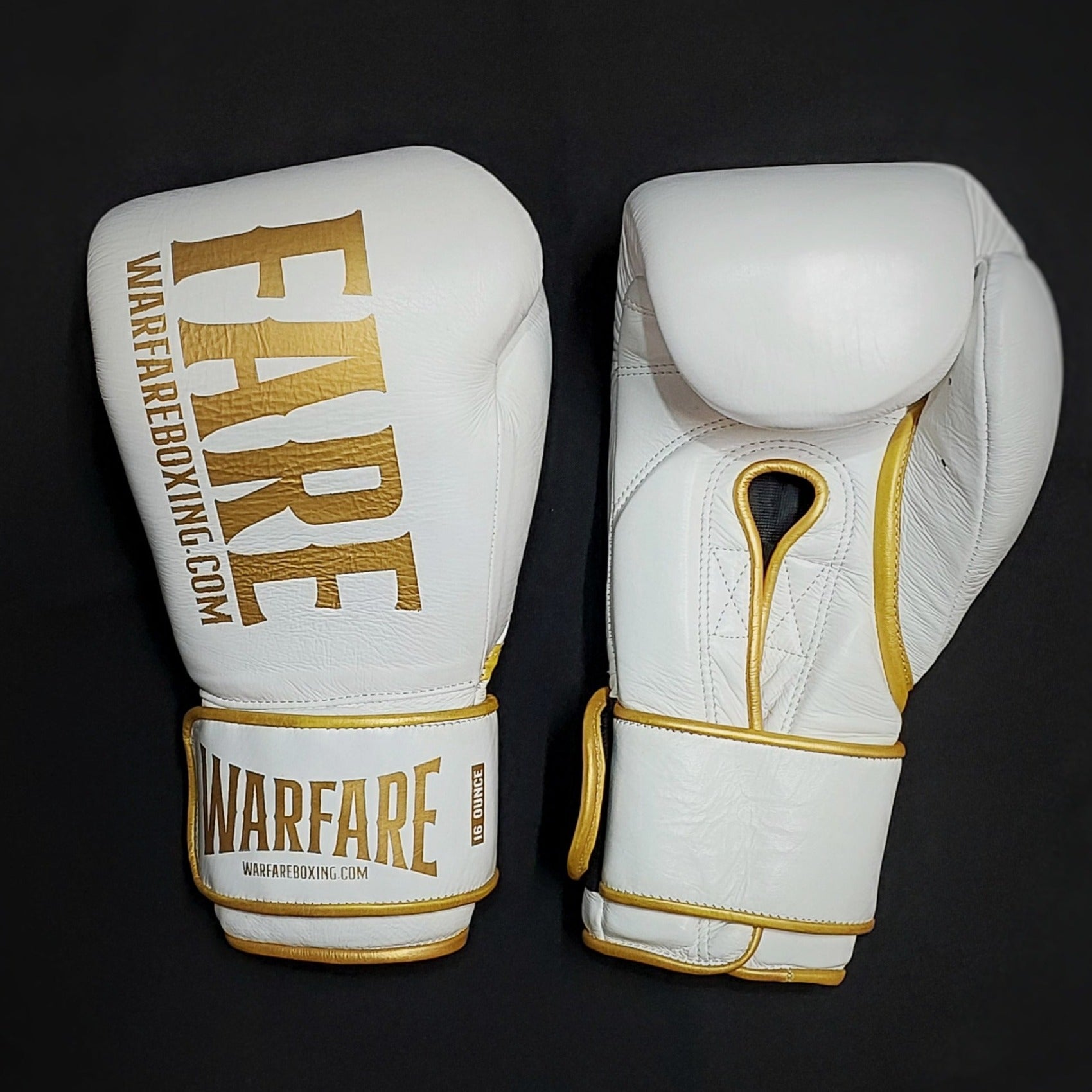 Warfare Boxing Glove