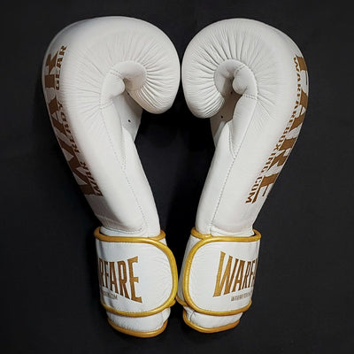 Warfare Boxing Glove