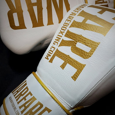 Warfare Boxing Glove