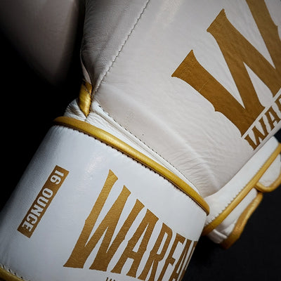 Warfare Boxing Glove