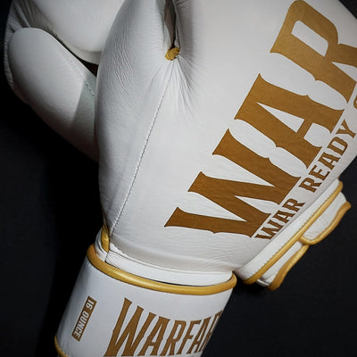 Warfare Boxing Glove