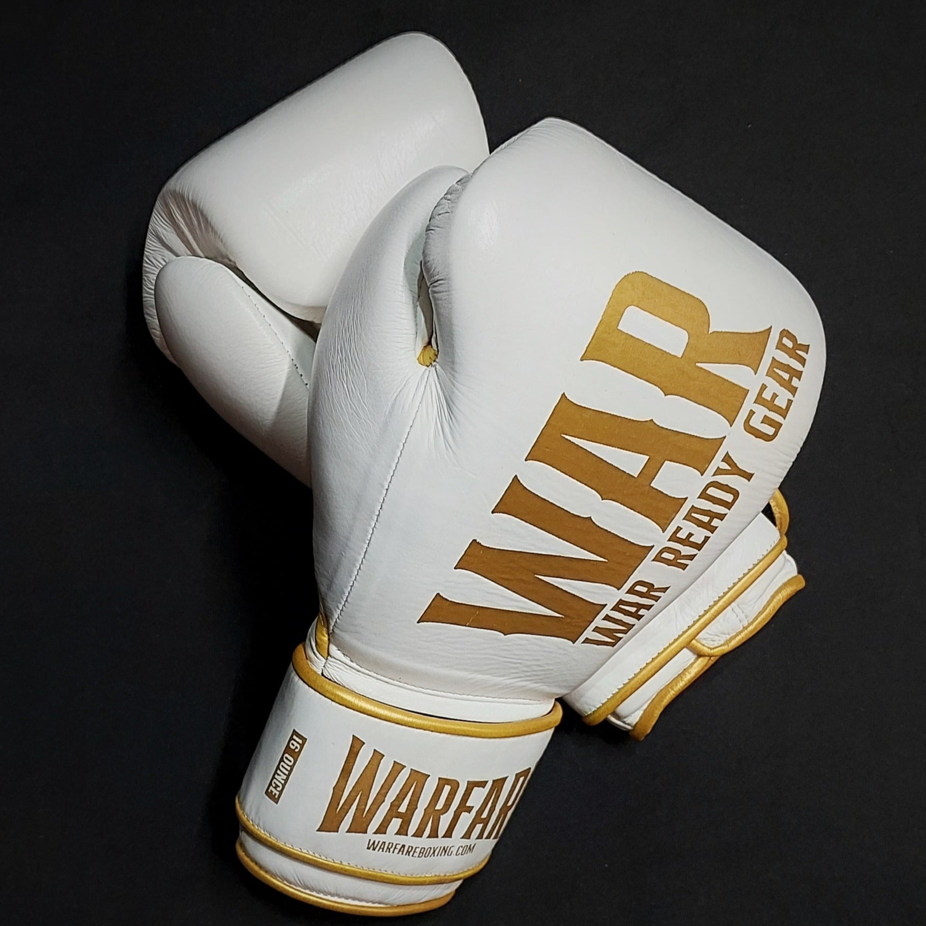 Warfare Boxing Glove