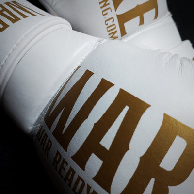 Warfare MMA Sparring Glove