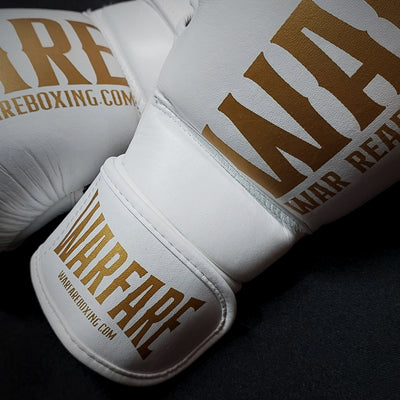 Warfare MMA Sparring Glove