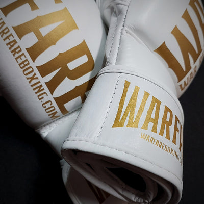 Warfare MMA Sparring Glove
