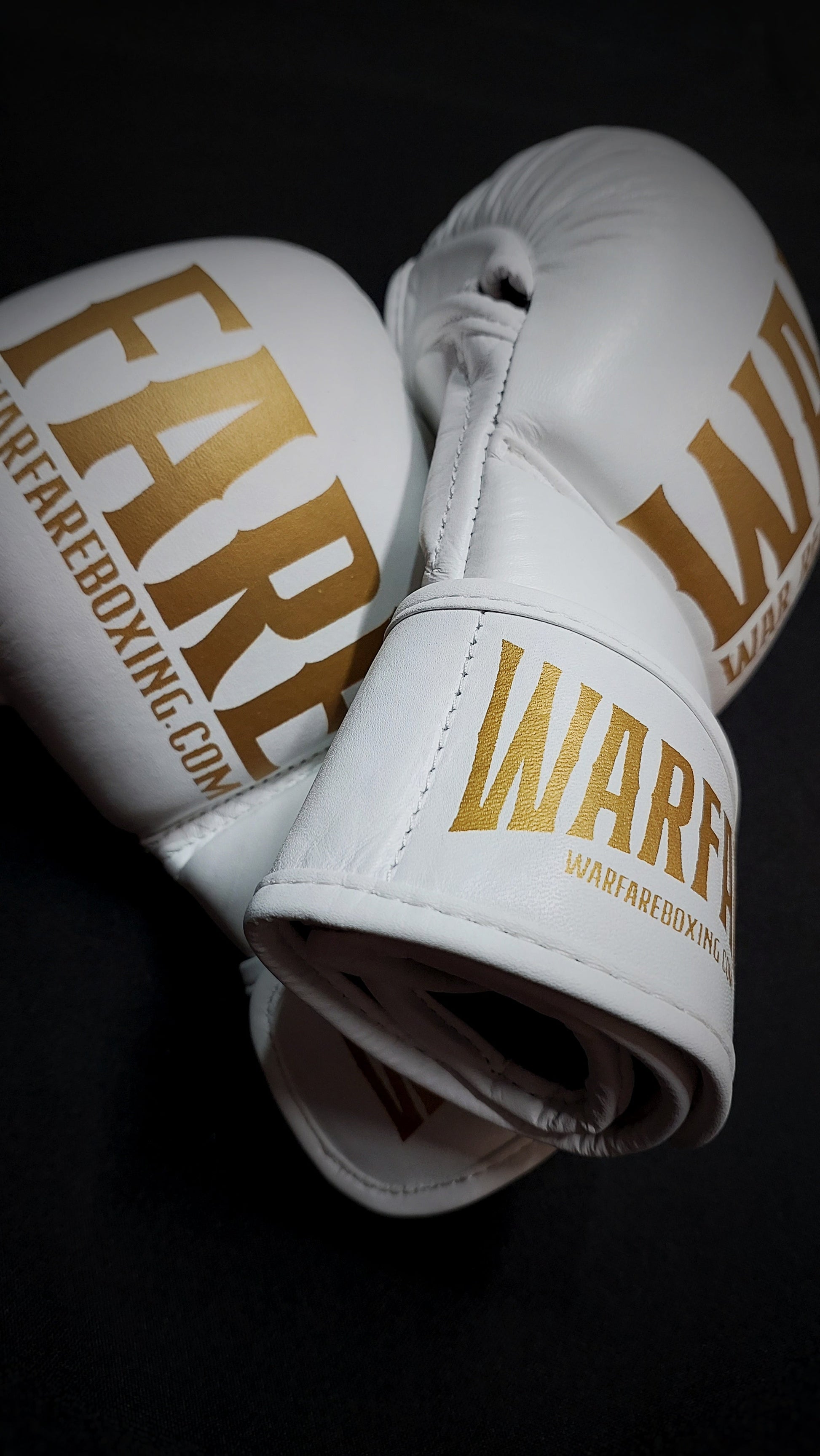 Warfare MMA Sparring Glove