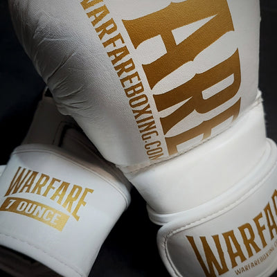 Warfare MMA Sparring Glove