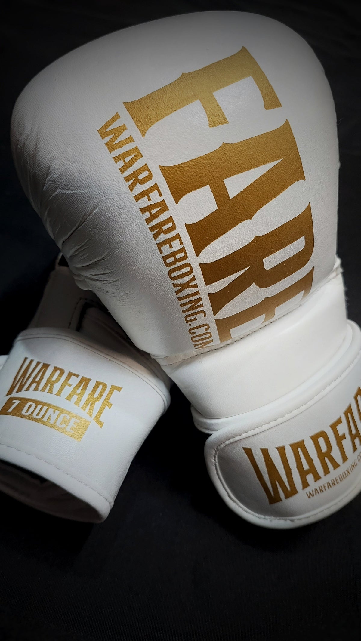 Warfare MMA Sparring Glove