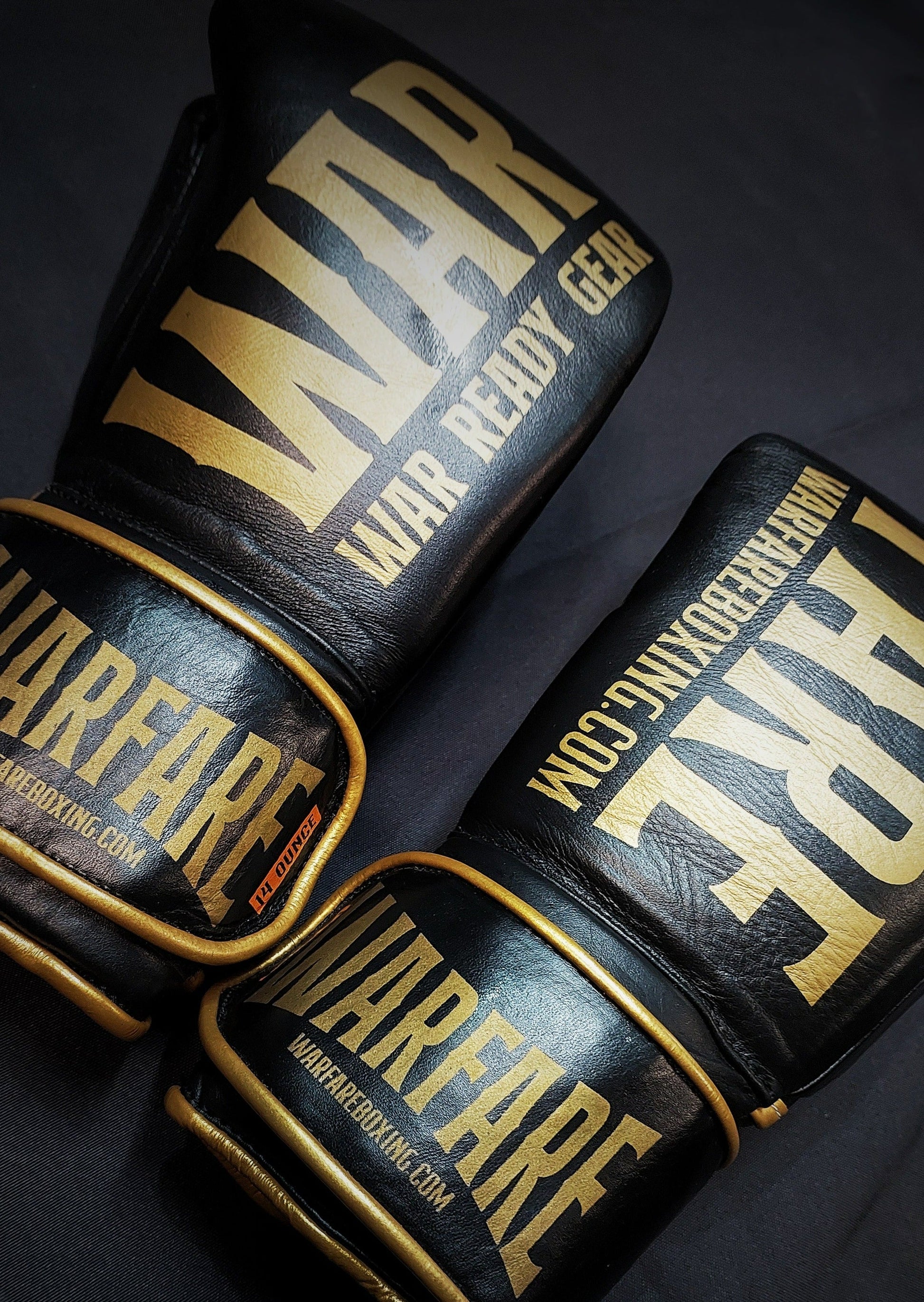 Warfare Boxing Glove