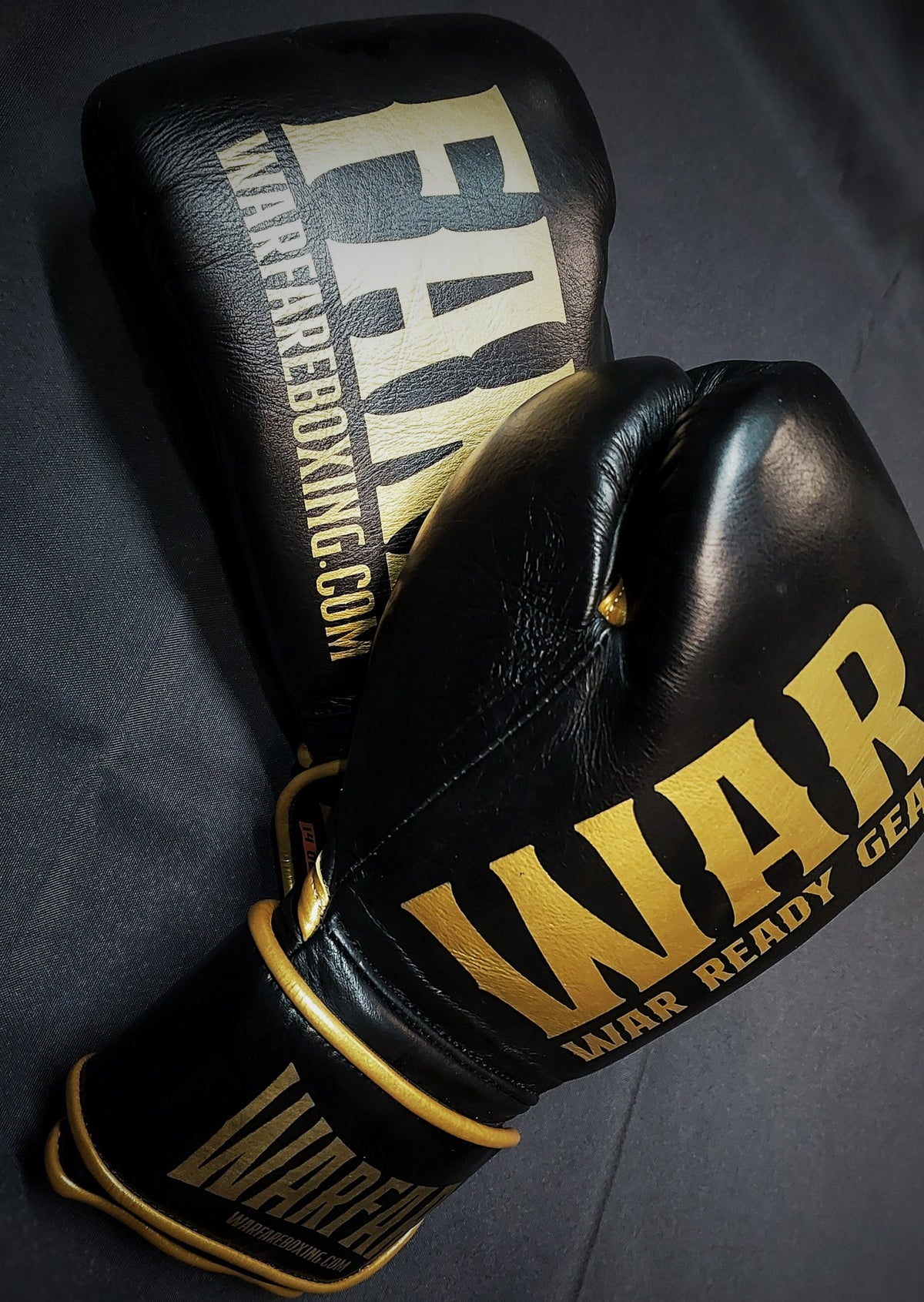 Warfare Boxing Glove