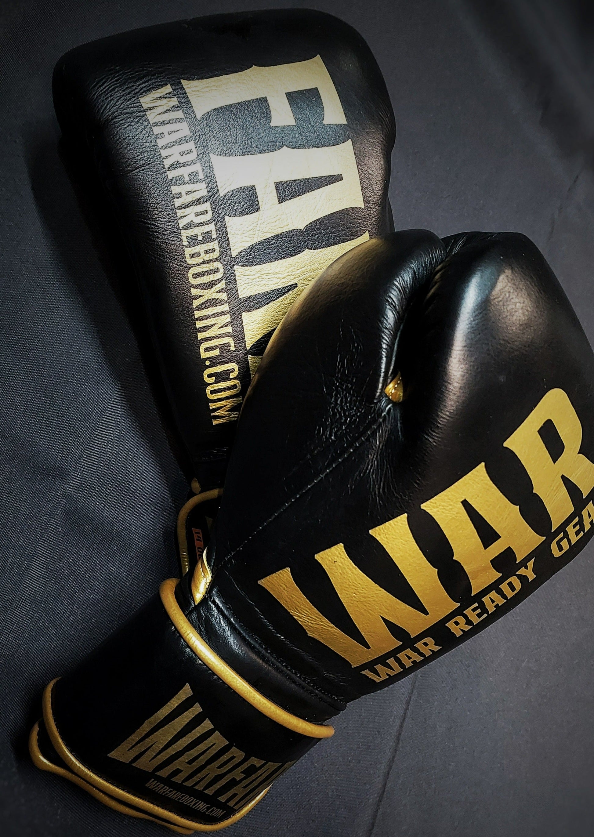Warfare Boxing Glove