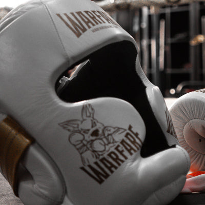 Warfare Head Gear