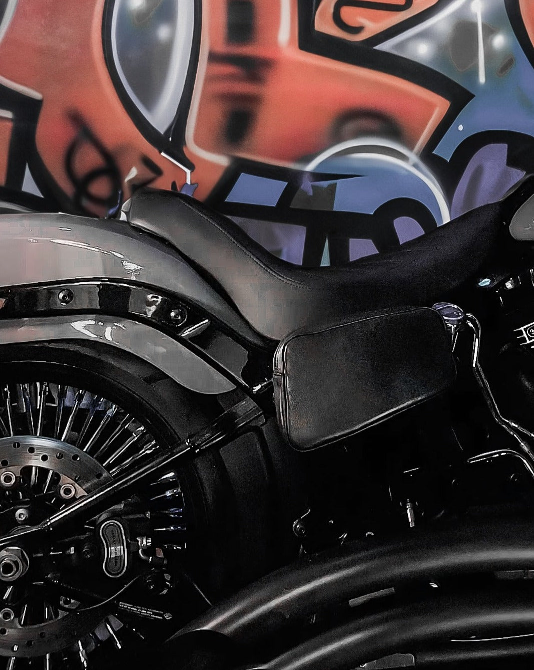 Frame Bags to Suit HD