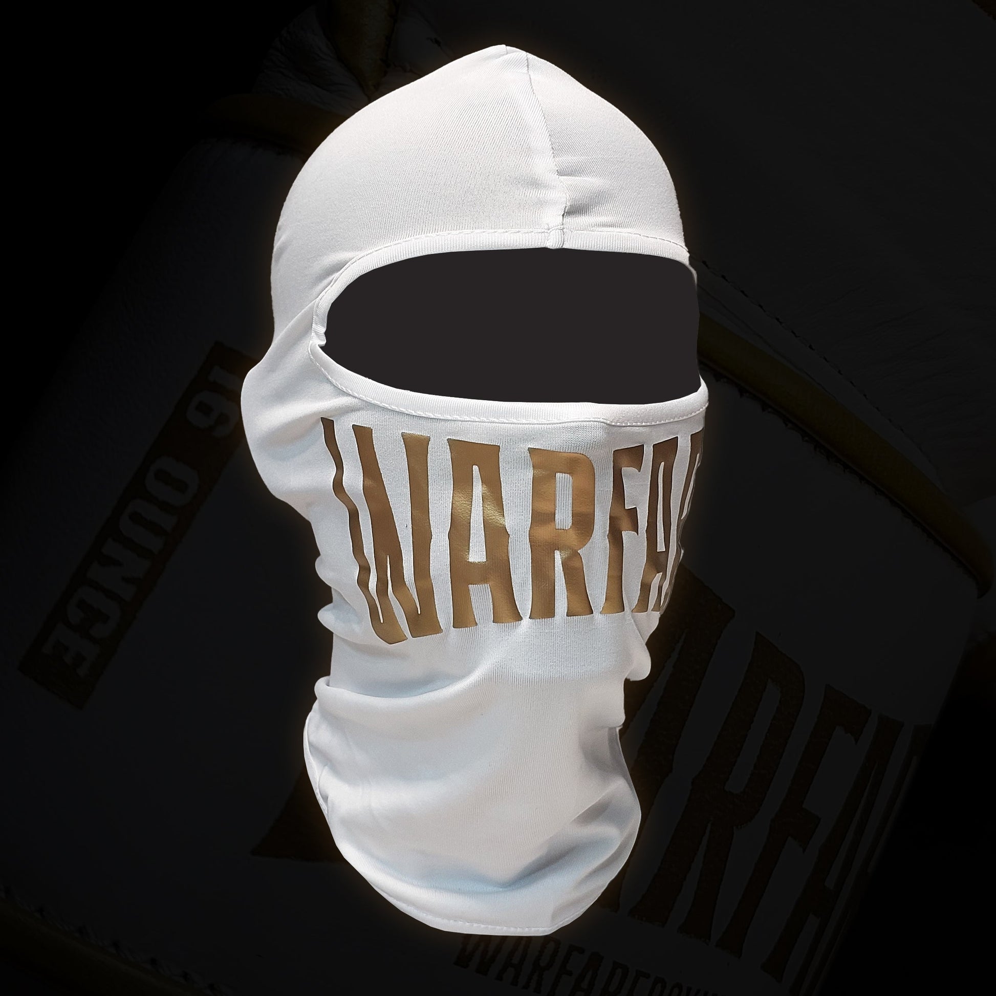Warfare Winter Running Mask